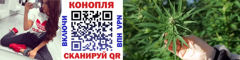 Купить где  Красавино  Каннабис сатива 